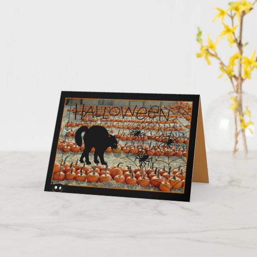 Carte Halloween avec chat noir (Fleur jaune)
