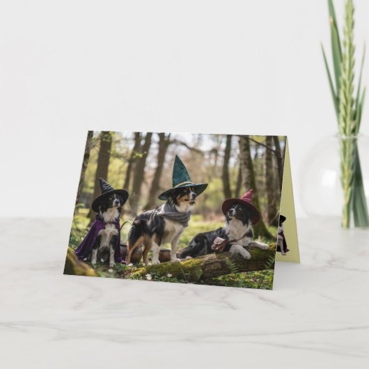 Carte Halloween Border Collie Sorcière (Devant)