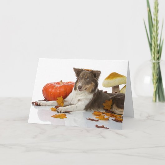 Carte halloween borlie (Devant)