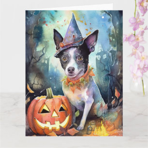 Carte Halloween Bovins Australiens Avec Citrouilles Effr