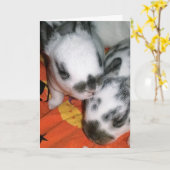 Carte Halloween Bunnies (Fleur jaune)