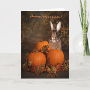 Carte Halloween Bunny in a Pumpkin Patch