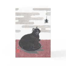 Halloween, Chat, Araignée