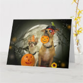 Carte Halloween chihuahuas (Fleur jaune)
