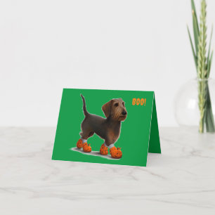 Carte Halloween Dachshund Wirehair