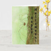 Carte Halloween Daddy Long Legs (Fleur jaune)