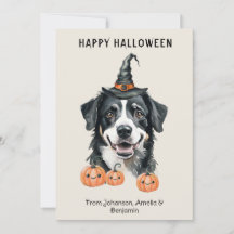 Carte Halloween de chien de montagne bernois | Cha