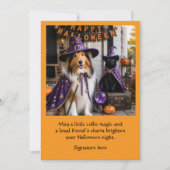 Carte Halloween de sorcier de Collie et chat migno (Devant)
