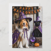 Carte Halloween de sorcier de Collie et chat migno (Dos)