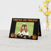 Carte Halloween drôle & mignonne Basset Hound & Ci (Fleur jaune)