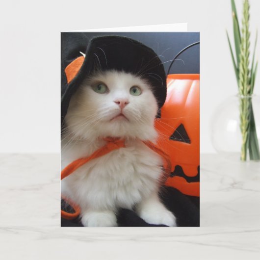 Carte Halloween d'un chat (Devant)