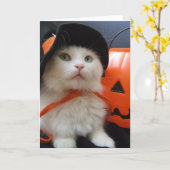 Carte Halloween d'un chat (Fleur jaune)