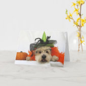 carte halloween, humour, chien mignon, sorcière, c (Fleur jaune)