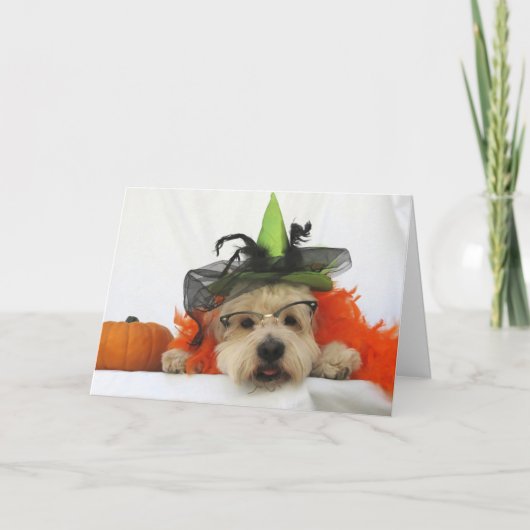 carte halloween, humour, chien mignon, sorcière, c (Devant)