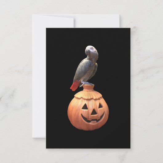 Carte Halloween Jack-O-Lantern perroquet gris africain (Devant)
