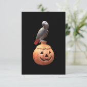 Carte Halloween Jack-O-Lantern perroquet gris africain (Debout devant)