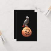 Carte Halloween Jack-O-Lantern perroquet gris africain (Devant/Arrière en situation)