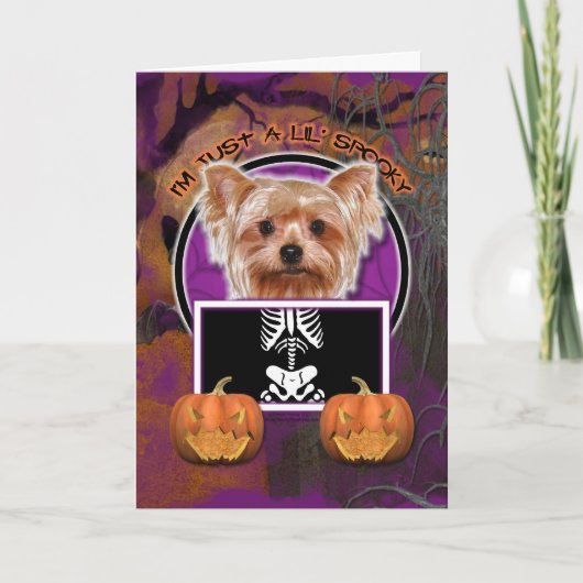 Carte Halloween - juste un Lil éffrayant - Yorkie (Devant)