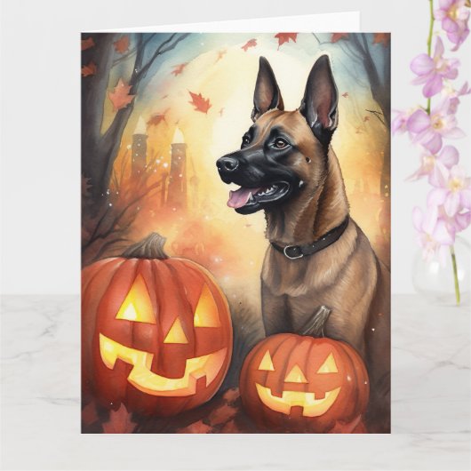 Carte Halloween Malinois Belge Avec Citrouilles Effrayan (Orchidée)