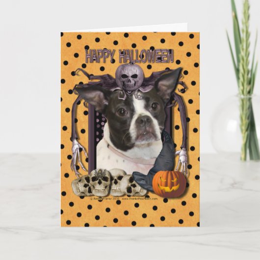 Carte Halloween Nightmare - Boston & Rat Terrier - Jazy (Devant)