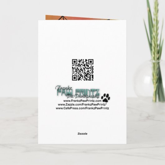 Carte Halloween - Pomeranian - Simba (Dos)