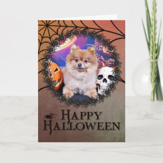 Carte Halloween - Pomeranian - Simba (Devant)