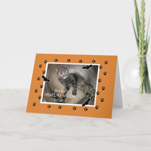 Carte Halloween pour Sister Scaredy Cat Bats (Devant)