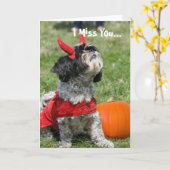 Carte Halloween Shih (Fleur jaune)