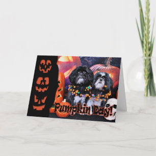Carte Halloween - Shih Tzu - Ruffles Riley