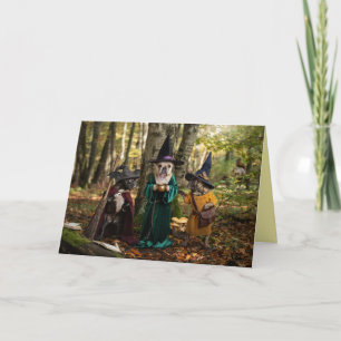 Carte Halloween Sorcière Bouledogue Français