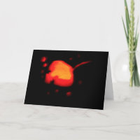Carte Hallowe'en "Stingray"