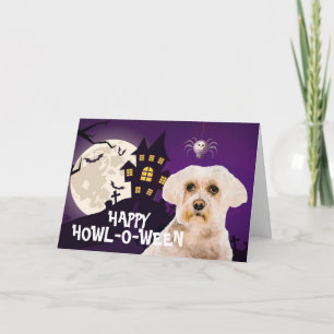 Carte Halloween Terrifiant Terrier Maltais