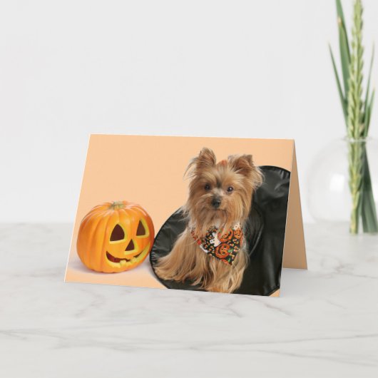 Carte Halloween Yorkie (Devant)