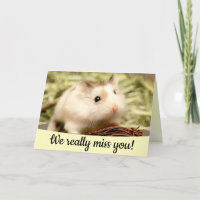 Hammyville - Cute Hamster