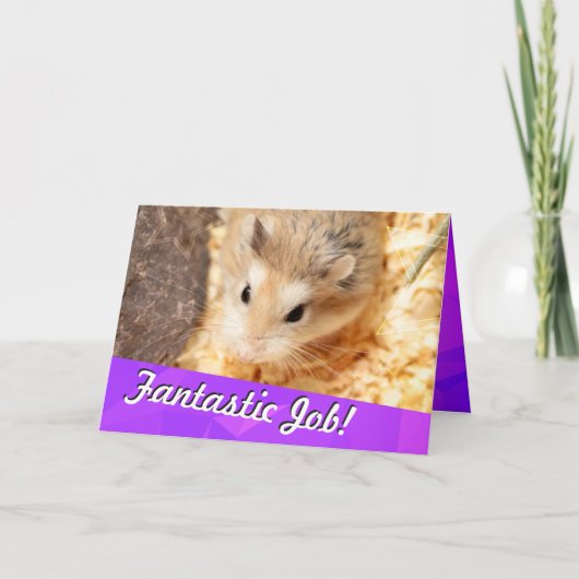 Carte Hammyville - Hamster Félicitations (Devant)