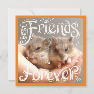 Carte Hammyville - Hamster Meilleurs Amis Pour Toujours