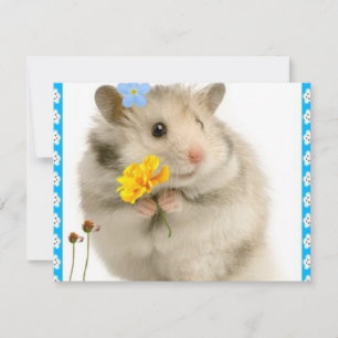 Carte hamster