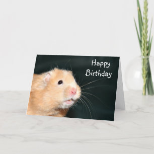 Carte Hamster de joyeux anniversaire
