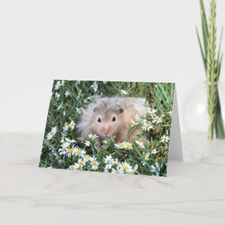 Carte Hamster en fleurs