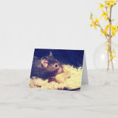 Carte Hamster Hungry (Fleur jaune)