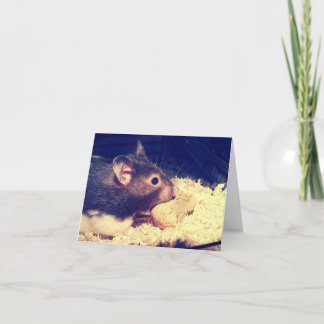 Carte Hamster Hungry