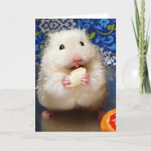 Carte Hamster syrien en mousse Kokolinka (Devant)