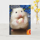 Carte Hamster syrien en mousse Kokolinka (Fleur jaune)