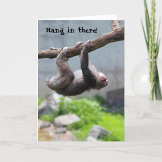 Carte Hang in there Monkey card