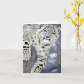 Carte Hangin autour de…. (Fleur jaune)