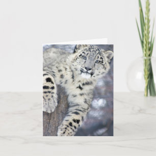 Carte Hangin autour de….