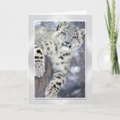 Carte Hangin autour de….(w/border) (Devant)