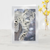 Carte Hangin autour de….(w/border) (Fleur jaune)