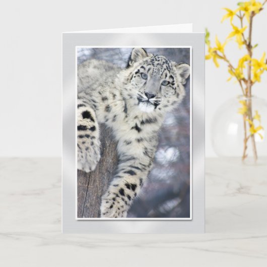 Carte Hangin autour de….(w/border) (Fleur jaune)