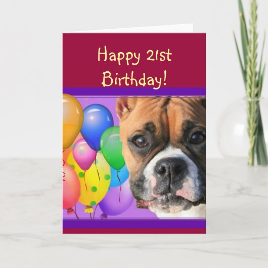 Carte Happy 21st birthday boxer dog greeting card (Devant)